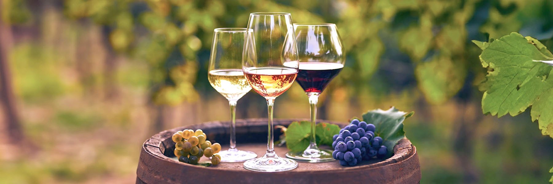 Weinwelt
