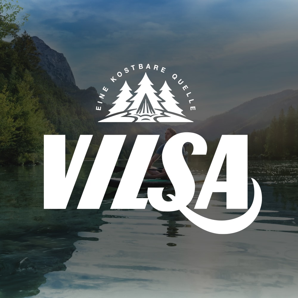 Vilsa