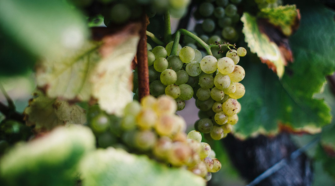 flaschenpost.de - Getränkelieferung in 120 Minuten